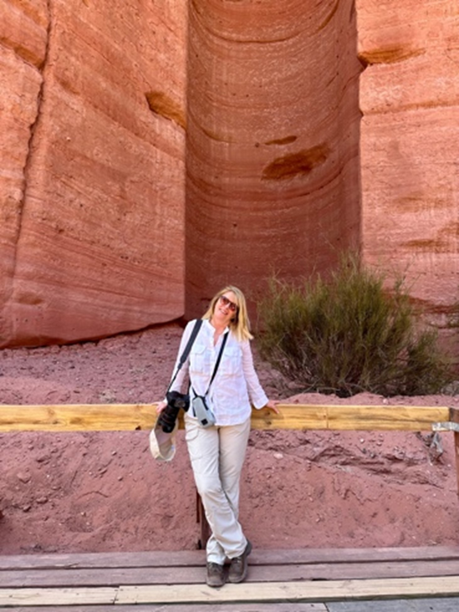 Guillermina Tagliamonte